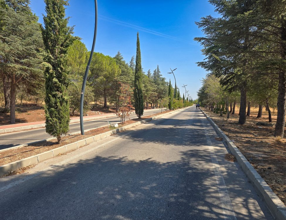 Road linking Ancient Troy and the Museum