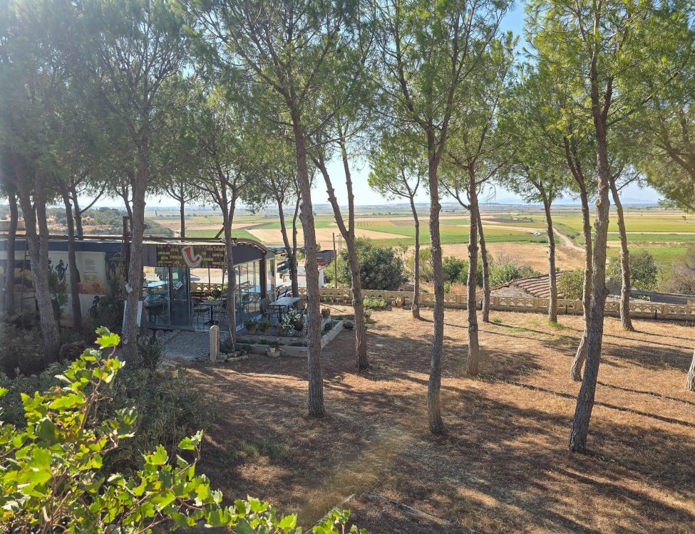 Troy Landscape