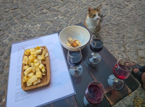 Tenedion Wine House Wine Tasting