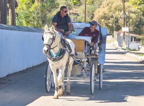 Spetses Horse and Carriage Horse and carriage on Spetsees