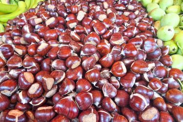 Shiny brown chestnuts on Nafplio Market