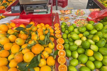 Nafplio Market Citrus fruits at Nafplio Market