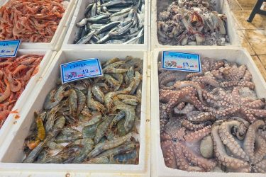 Seafood at Nafplio Market