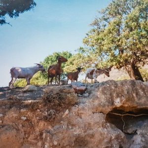 Tilos 2001